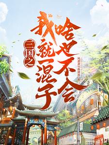 三国之我就一混子啥也不会封面