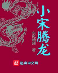 小宋腾龙封面