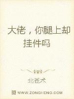 大佬，你缺腿上挂件吗封面