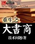 重生之大书商封面
