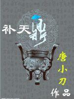 补天鼎封面