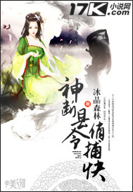 神断县令俏捕快封面