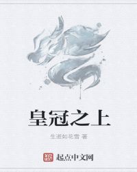 皇冠之上封面
