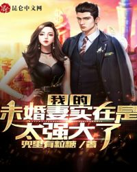 我的未婚妻实在是太强大了封面