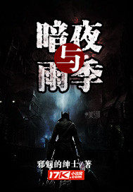 暗夜与雨季封面