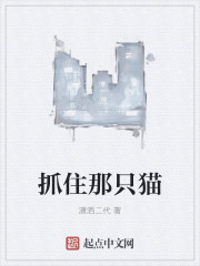 抓住那只猫封面