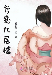 鸳鸯九层楼封面