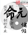 命元封面