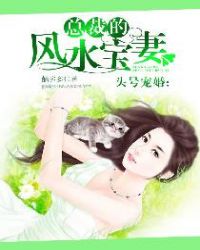 头号宠婚：总裁的风水宝妻封面
