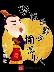 朕就是喜欢偷怎么了封面