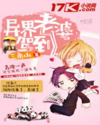 异界老婆驾到封面