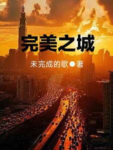 完美之城封面
