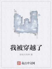 我被穿越了封面