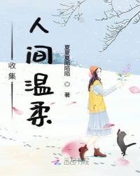 收集人间温柔封面