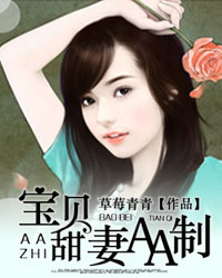 宝贝甜妻AA制封面
