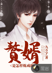 赘婿是怎样炼成的封面