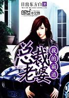 我的霸道总裁老婆封面