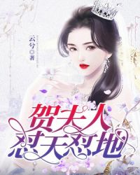 贺夫人怼天怼地封面