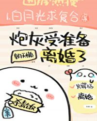 炮灰受准备离婚了封面