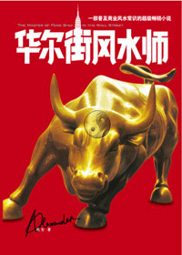 华尔街风水师封面