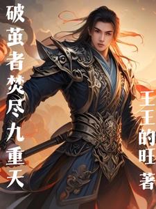 破茧者焚尽九重天封面