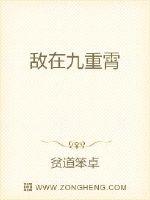 敌在九重霄封面