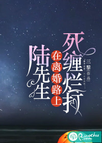 陆先生在离婚路上死缠烂打封面