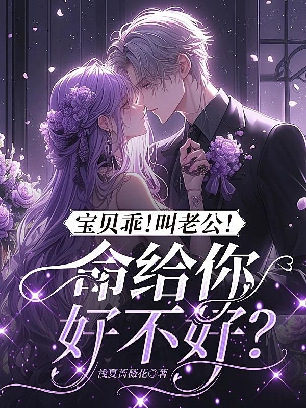 宝贝乖！叫老公！命给你好不好？封面