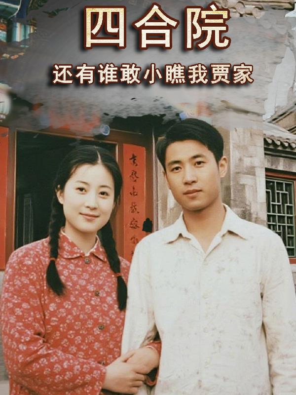 四合院还有谁敢小瞧我贾家封面