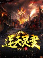 逆天灵变封面
