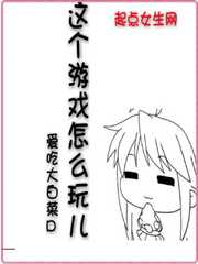 这个游戏怎么玩儿封面