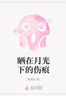 晒在月光下的伤痕封面