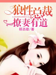 狼性总裁撩妻有道封面