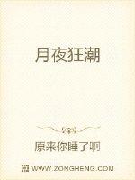 月夜狂潮封面