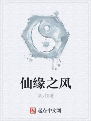 仙缘之风封面