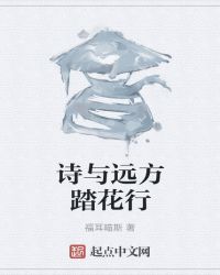 诗与远方踏花行封面