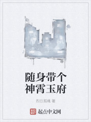 随身带个神霄玉府封面