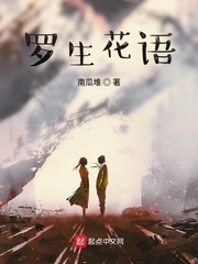 罗生花语封面