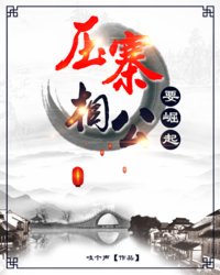 压寨相公要崛起封面
