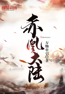 赤凰大陆封面