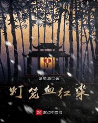 灯笼血红染封面