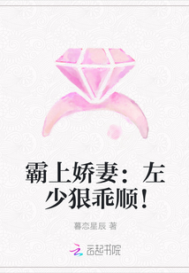 霸上娇妻：左少狠乖顺！封面