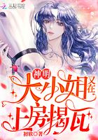 神明大小姐又在上房揭瓦封面