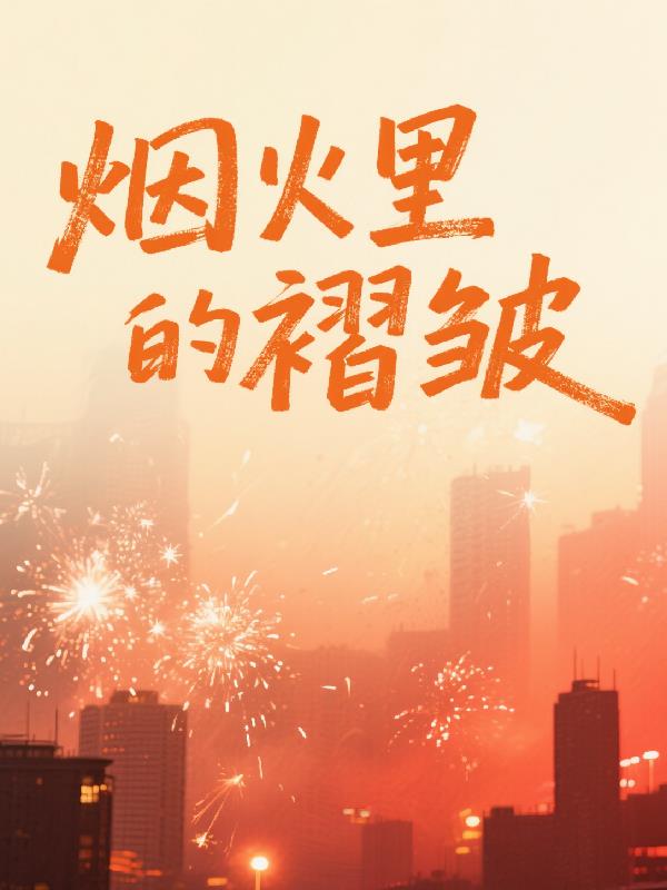 烟火里的褶皱封面