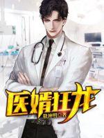 医婿狂龙封面