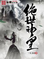 绝世神皇封面