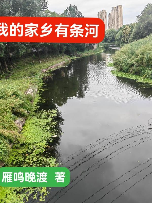小说:我的家乡有条河封面