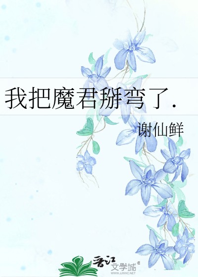 我把魔君掰弯了封面