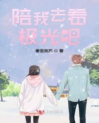 陪我去看极光吧封面