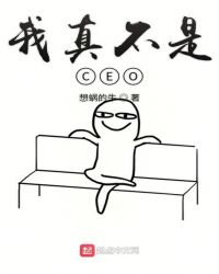 我真不是CEO封面